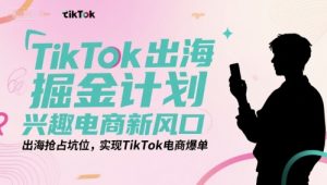 TikTok出海掘金计划，兴趣电商新风口，出海抢占坑位，实现TikTok电商爆单-淘金日记