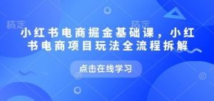 小红书电商掘金课，小红书电商项目玩法全流程拆解（更新7月）-淘金日记