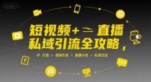 短视频+直播私域引流全攻略，IP打造 +视频引流 +直播引流 +私域沉淀-淘金日记