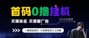 首码0撸全自动挂G项目，无需实名无需看广告，小白轻松日入3位数，多号短阵收益无上限【揭秘】-淘金日记