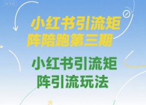 小红书引流矩阵陪跑第三期,小红书引流矩阵引流玩法-淘金日记