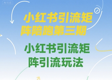 小红书引流矩阵陪跑第三期，小红书引流矩阵引流玩法-淘金日记