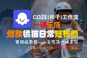 COZE(扣子)工作流一键生成爆款橘猫日常短视频,保姆级教程,零基础快速入门-淘金日记