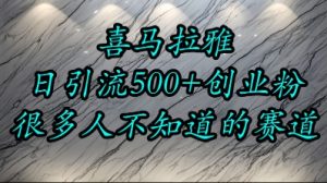 喜马拉雅,小而精的流量赛道,日进500+精准创业粉-淘金日记