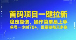 首码项目一键拉新,稳定靠谱,操作简单易上手,单号一小时70+,批量做每天多张【揭秘】-淘金日记