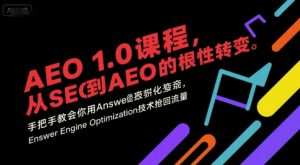 AEO 1.0 课程，从SEO到AE0的基命性转变，手把手教会你用AnswerEngineOptimization技术抢回流量-淘金日记