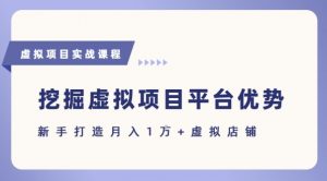 抓住虚拟项目各平台优势，新手轻松月入1W+(给出具体建议)-淘金日记