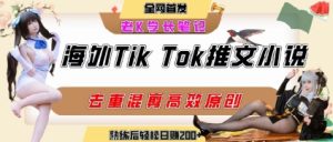 海外tiktok小说推文暴力项目,高停留率,高转化率,上手后一天搞顿饭钱不是问题-淘金日记