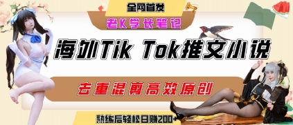 海外tiktok小说推文暴力项目,高停留率,高转化率,上手后一天搞顿饭钱不是问题-淘金日记