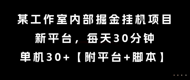 某工作室内部掘金挂G项目，新平台，每天30分钟，单机30+【揭秘】-淘金日记