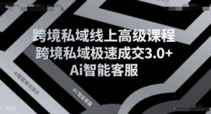 跨境私域线上高级课程，跨境私域极速成交3.0+Ai智能客服-淘金日记