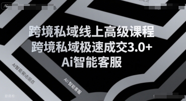 跨境私域线上高级课程，跨境私域极速成交3.0+Ai智能客服-淘金日记