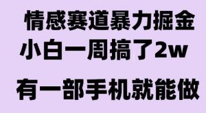 情感暴力掘金项目，新人操作一周挣了2W，长期稳定小白可做【揭秘】-淘金日记
