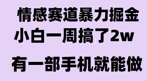 情感暴力掘金项目，新人操作一周挣了2W，长期稳定小白可做【揭秘】-淘金日记