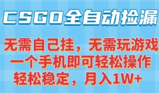 CSGO自动捡漏项目，最新独家玩法，一个手机可操作，新手小白轻松月入1W+，操作简单易上手【揭秘】-淘金日记