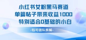 小红书女粉黑马赛道单篇帖子带来收益1k+,特别适合0基础的小白-淘金日记
