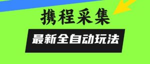 携程信息采集全自动玩法,0风控,无脑开干【揭秘】-淘金日记