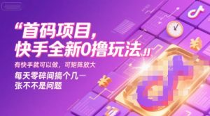 首码项目，快手全新0撸玩法，有快手就可以做，可矩阵放大，每天零碎时间搞个几张不是问题【揭秘】-淘金日记