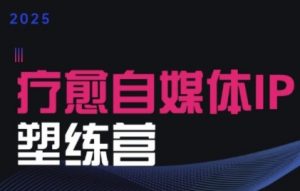 2025治愈自媒体IP训练营,专为疗愈领域从业者打造-淘金日记