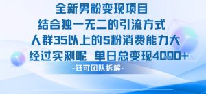 全新男粉变现项目引流人群35以上的男粉消费能力大 经过实测单日变现1k+-淘金日记
