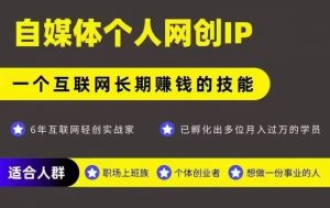 网创类公众号项目，自媒体个人网创IP，强IP强变现，操作一辈子-淘金日记