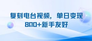 复刻电台视频，单日变现8张+新手友好，长期可做-淘金日记