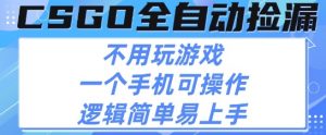 CSGO自动捡漏项目,最新独家玩法,不用挂G不用玩游戏,一个手机即可操作,新手小白轻松月入1W+【揭秘】-淘金日记