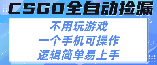 CSGO自动捡漏项目，最新独家玩法，不用挂G不用玩游戏，一个手机即可操作，新手小白轻松月入1W+【揭秘】-淘金日记