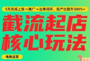 淘宝截流快速起店玩法，掌握暴力快速起店的流程，5天完成上架-推广-出单闭环-淘金日记