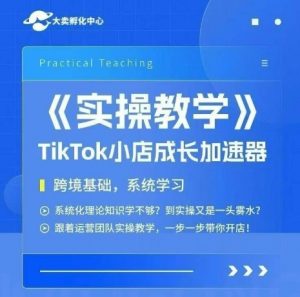 大卖家孵化中心TikTok实操课，TikTok小店成长加速器，跨境基础系统学习，一步一步带你开店-淘金日记