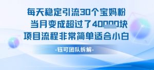 每天稳定引流30个人 当月变成超过了4个W项目流程非常简单适合小白-淘金日记