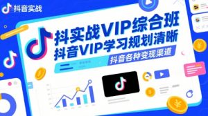 抖音实战VIP综合班，抖音VIP学习规划请晰抖音各种变现渠道-淘金日记
