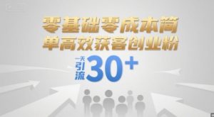 零基础零成本简单高效获客创业粉，一天引流30+-淘金日记