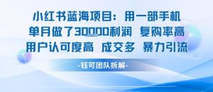 小红书蓝海项目，一部手机单月做了3W利润，小白也能月入过1W用户认可度高成交多-淘金日记