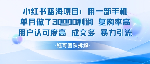 小红书蓝海项目,一部手机单月做了3W利润,小白也能月入过1W用户认可度高成交多-淘金日记