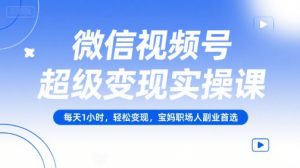 微信视频号超级变现实操课,每天1小时,轻松变现,宝妈职场人副业首选-淘金日记