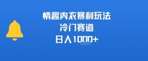 情趣内衣暴利玩法,冷门赛道,日入1k+-淘金日记