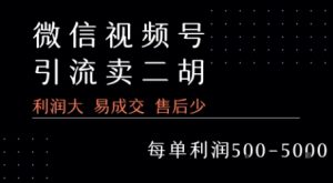 视频号卖二胡教程,利润大 易成交 售后少,一单利润5张+-淘金日记