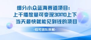 小众蓝海赛道项目：当天变现1k+适合新手操作 +适合长期玩-淘金日记