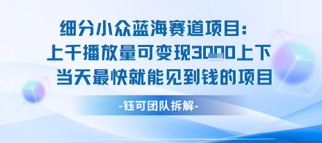 小众蓝海赛道项目：当天变现1k+适合新手操作 +适合长期玩-淘金日记
