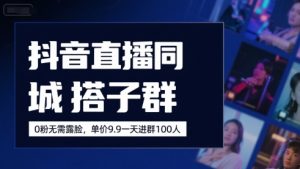 抖音直播同城搭子群，0粉无需露脸，单价19.9，一天进群100人-淘金日记