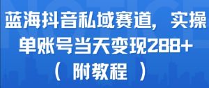 蓝海抖音私域赛道，实操单账号当天变现288+(附教程)-淘金日记