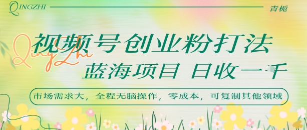 视频号创业粉打法，日入1k，蓝海项目，市场需求大，全程无脑操作，可复制-淘金日记