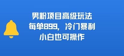 男粉项目高级玩法，每单899，冷门暴利，小白也可操作-淘金日记