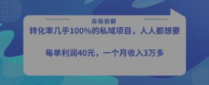 转化率最高的私域项目,每单利润40-50米,月入过1w-淘金日记
