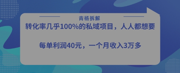 转化率最高的私域项目,每单利润40-50米,月入过1w-淘金日记