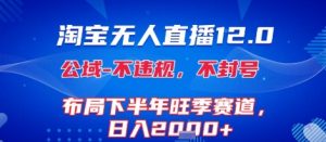 淘宝无人直播12.0，不封号，不违规，布局下半年旺季赛道，日入1k+(独家技术)【揭秘】-淘金日记
