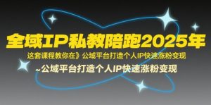 全域IP私教陪跑2025年,这套课程教你在公域平台打造个人IP快速涨粉变现-淘金日记