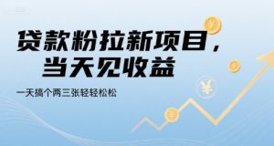 贷款粉拉新项目,当天见收益,一天搞个两三张轻轻松松【揭秘】-淘金日记