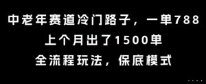 中老年赛道冷门路子,一单788,上个月出了1500单,全流程玩法,保底模式【揭秘】-淘金日记